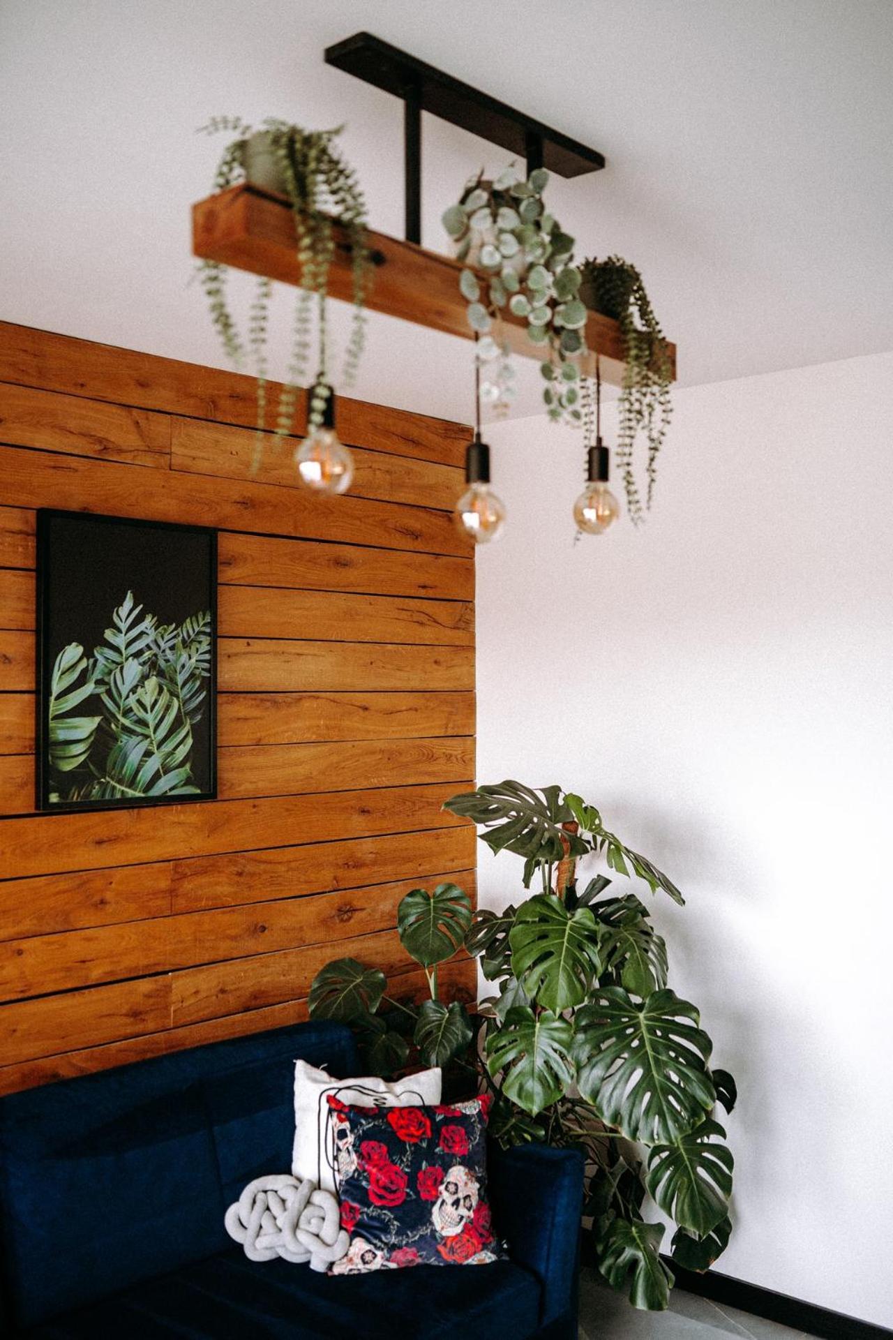 Apartment Madlen Art Olecko