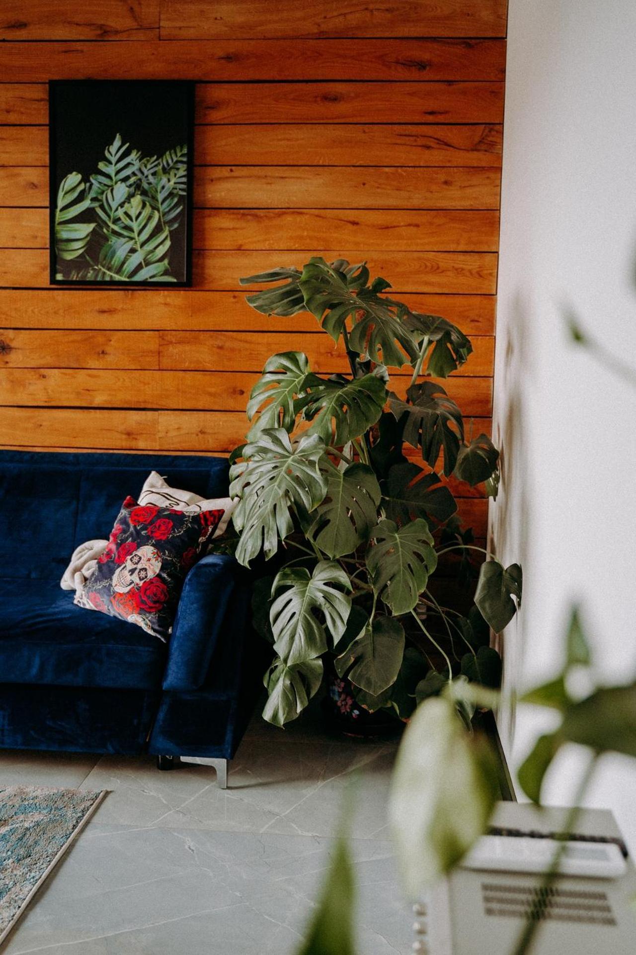 Madlen Art Apartment *