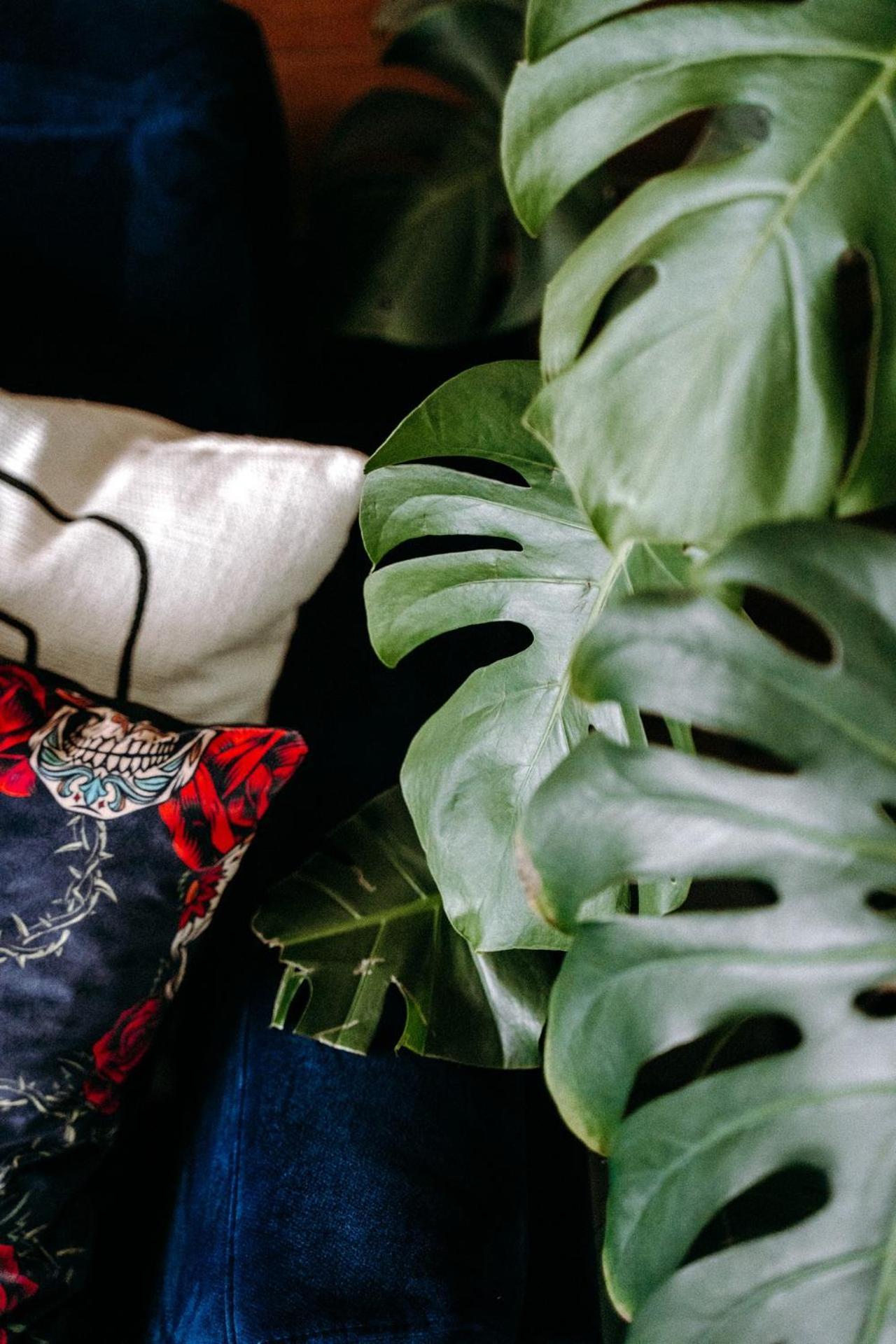 Madlen Art Apartment